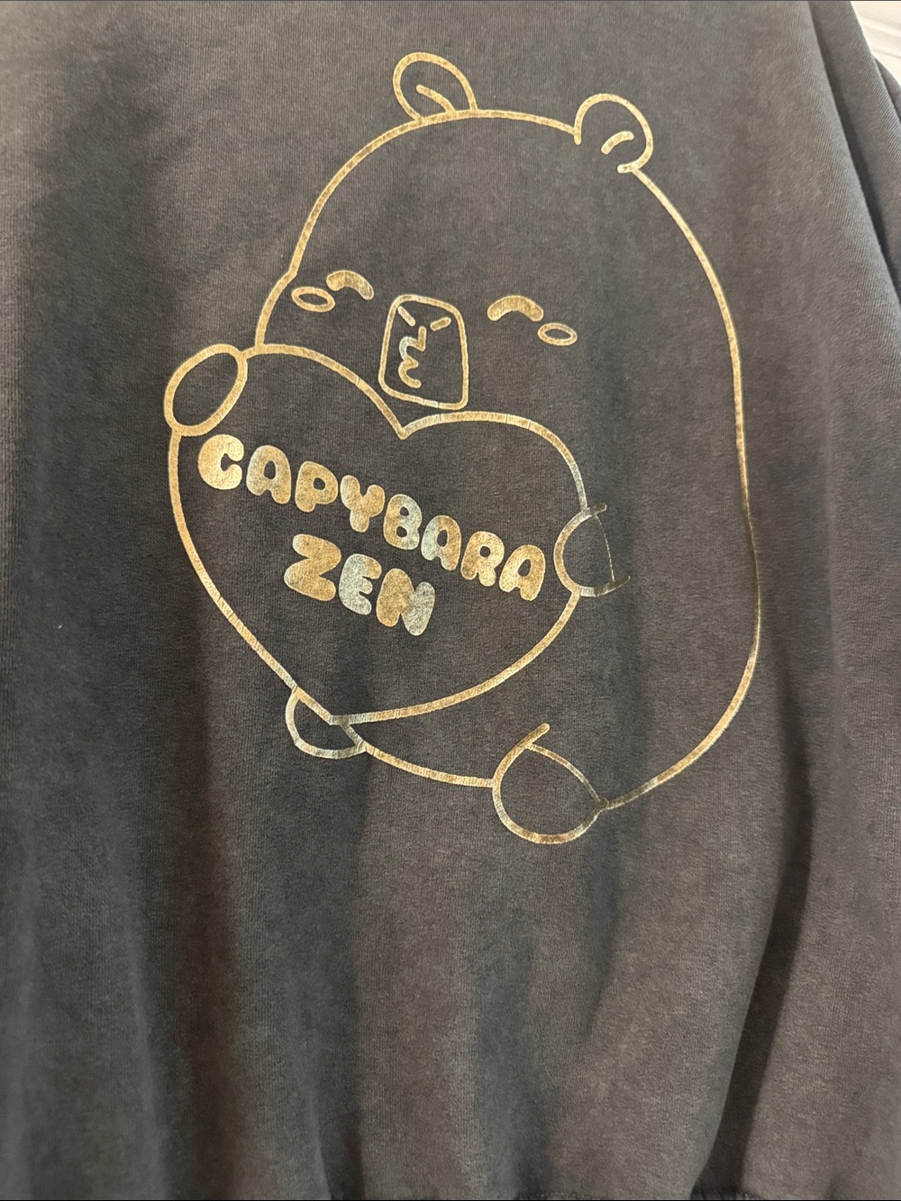 Zara Capybara Zen Graphic Crewneck - Charcoal size 13-14